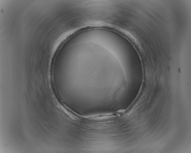 X0000076221327200610191523