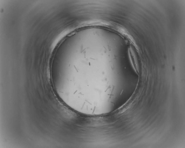 X0000076221328200610191523