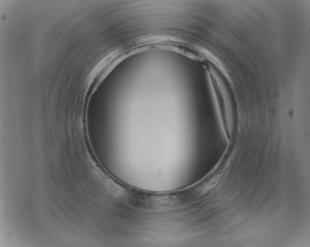 X0000076221330200610191523