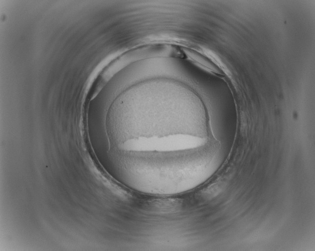 X0000076221331200610191523