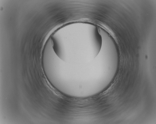 X0000076221332200610191523