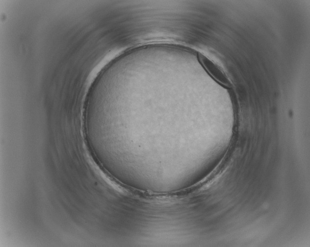 X0000076221333200610191523