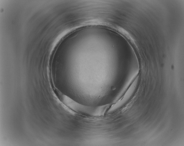 X0000076221334200610191523