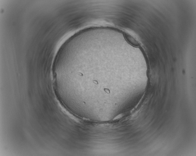 X0000076221335200610191523