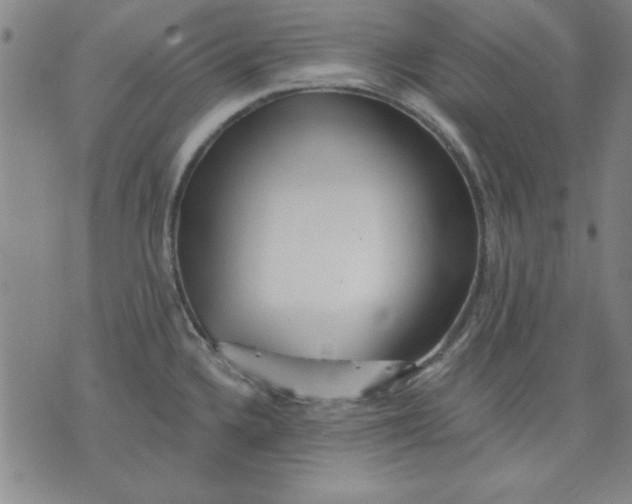 X0000076221336200610191523