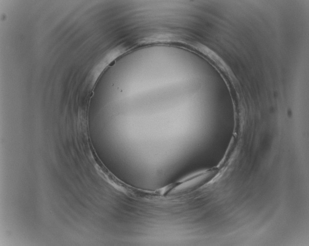 X0000076221337200610191523