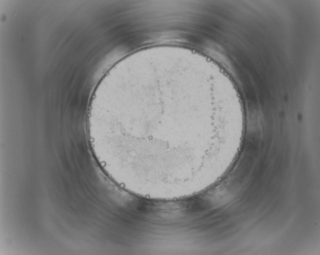 X0000076221338200610191523