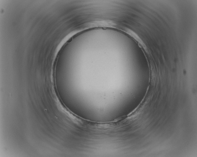 X0000076221339200610191523