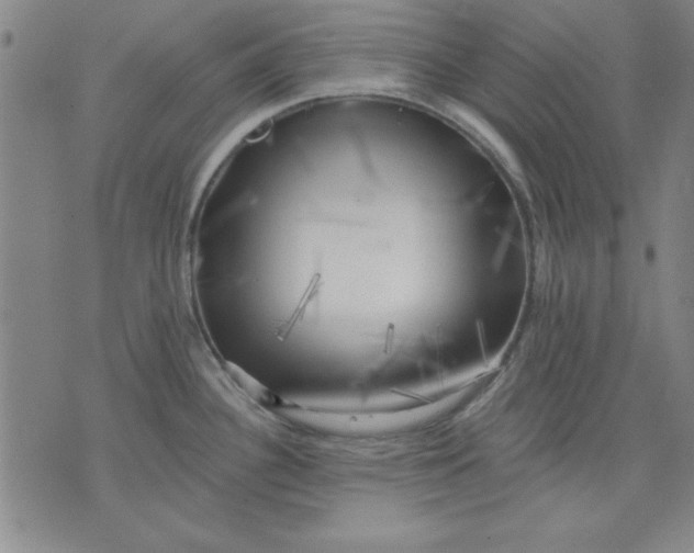 X0000076221340200610191523