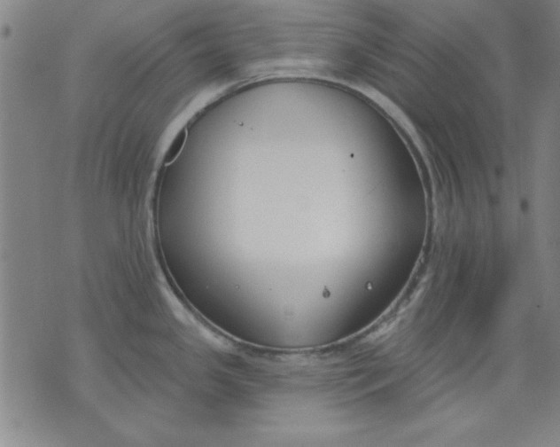 X0000076221341200610191523