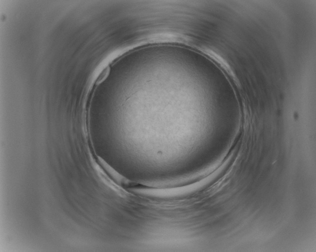 X0000076221342200610191523