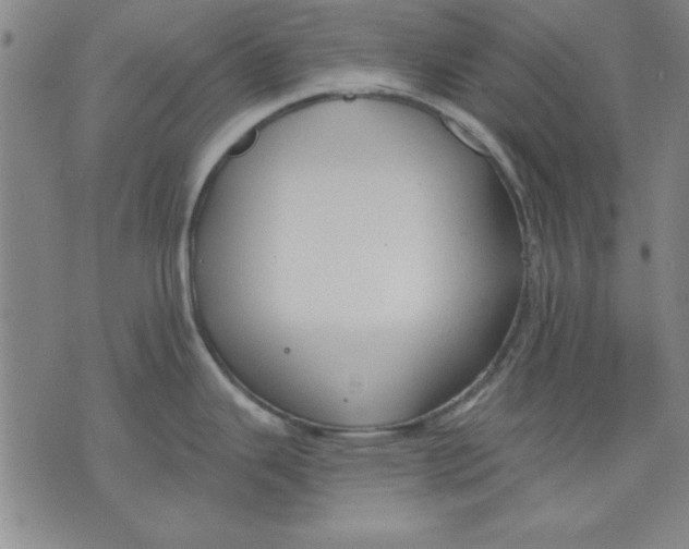 X0000076221343200610191523