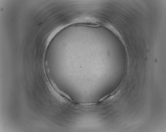 X0000076221344200610191523