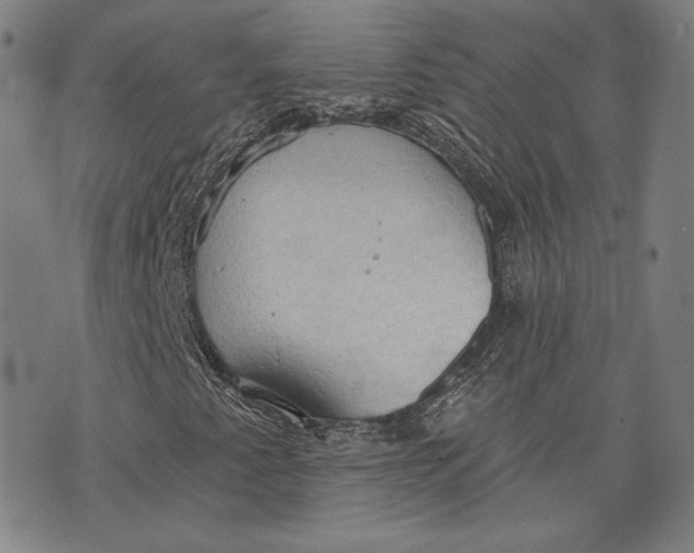 X0000076221345200610191522