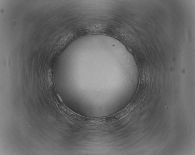 X0000076221346200610191522