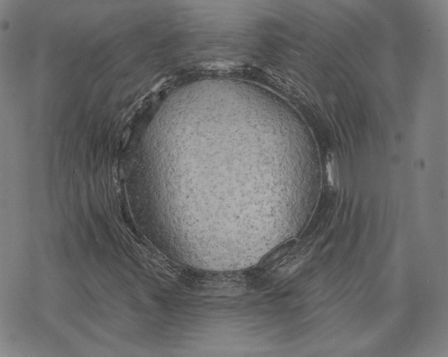 X0000076221347200610191522