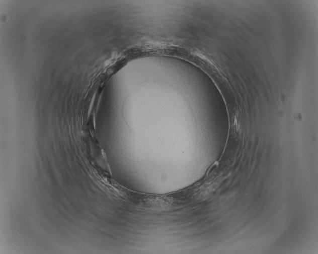 X0000076221348200610191522