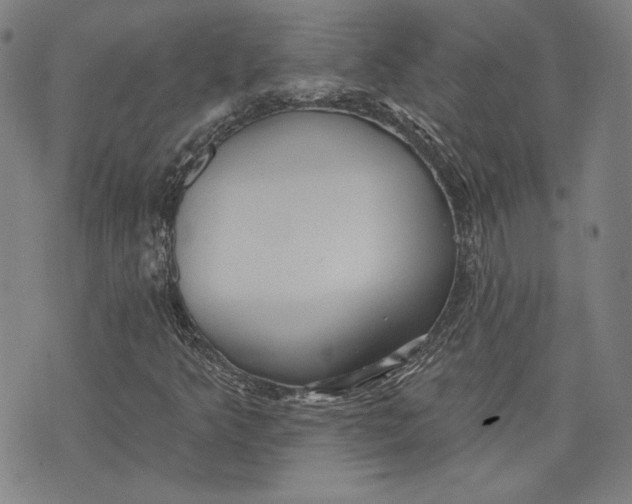 X0000076221349200610191522