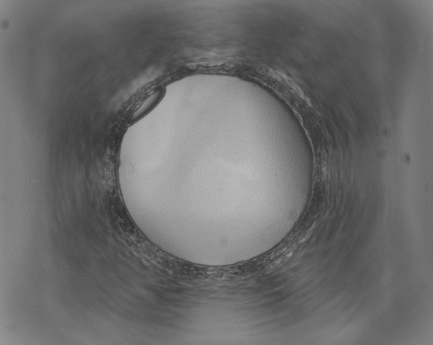 X0000076221350200610191522