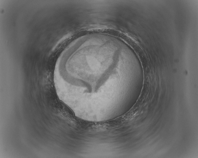 X0000076221351200610191522