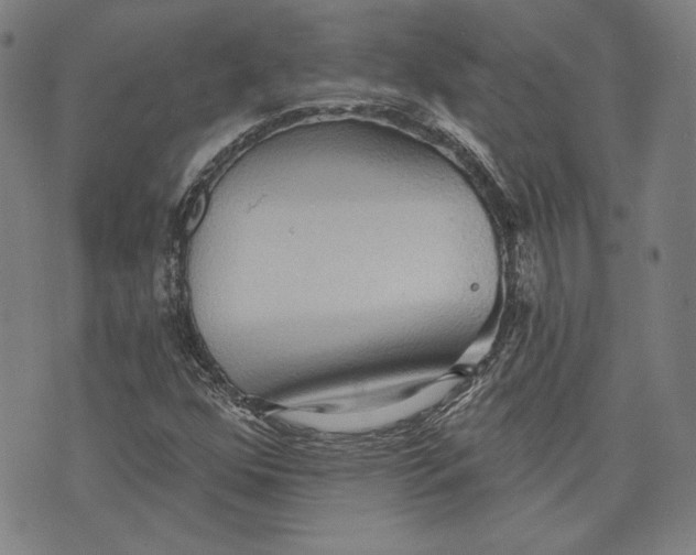 X0000076221352200610191522