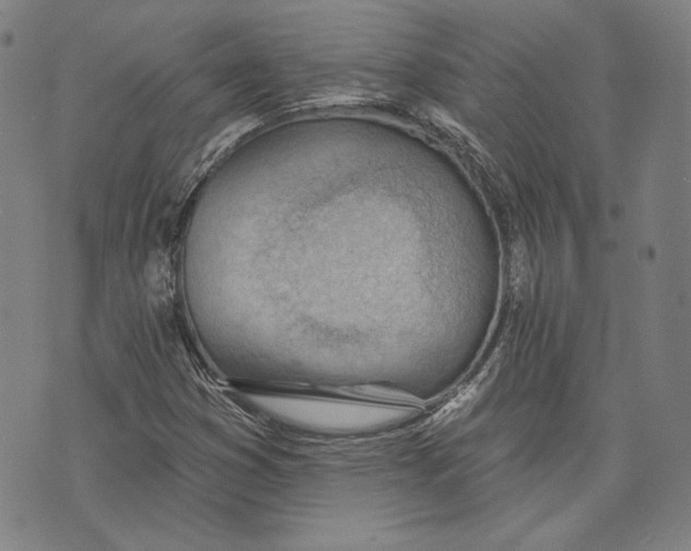 X0000076221353200610191522