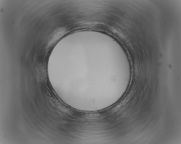 X0000076221354200610191522