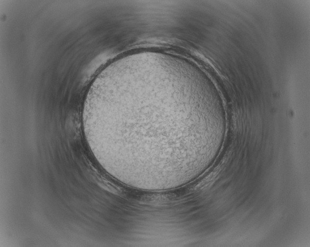 X0000076221355200610191522