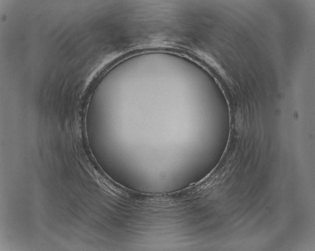 X0000076221356200610191522