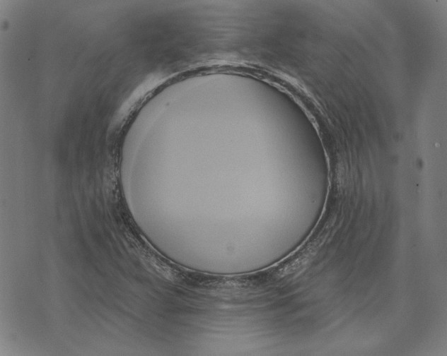 X0000076221359200610191522