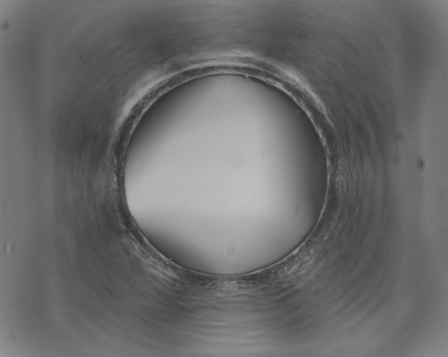 X0000076221360200610191522