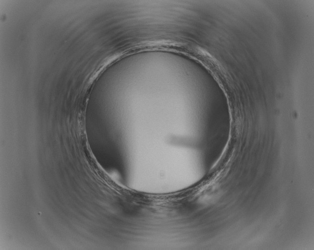 X0000076221361200610191522