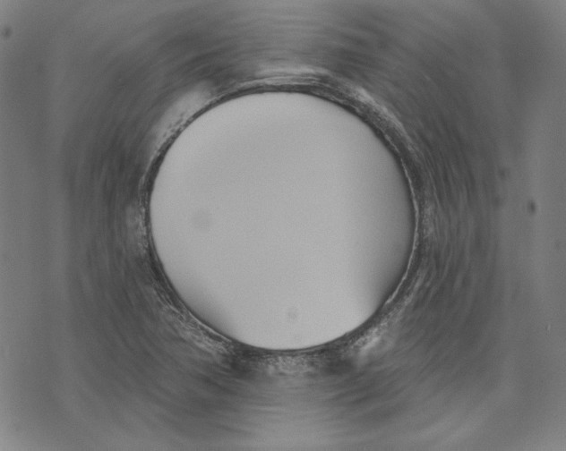 X0000076221362200610191522