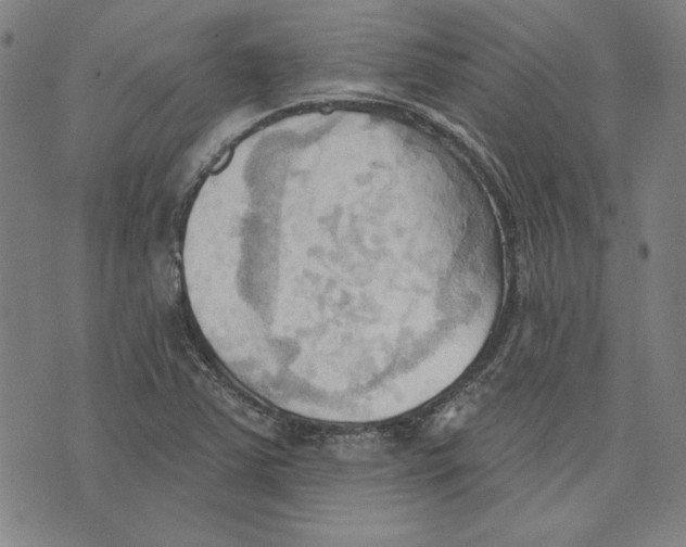 X0000076221363200610191522