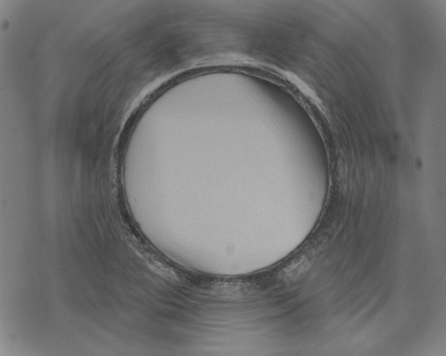 X0000076221364200610191522