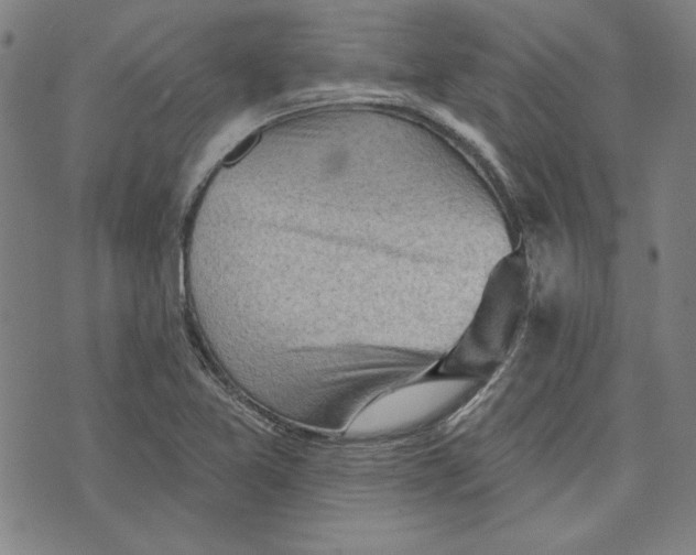 X0000076221365200610191522