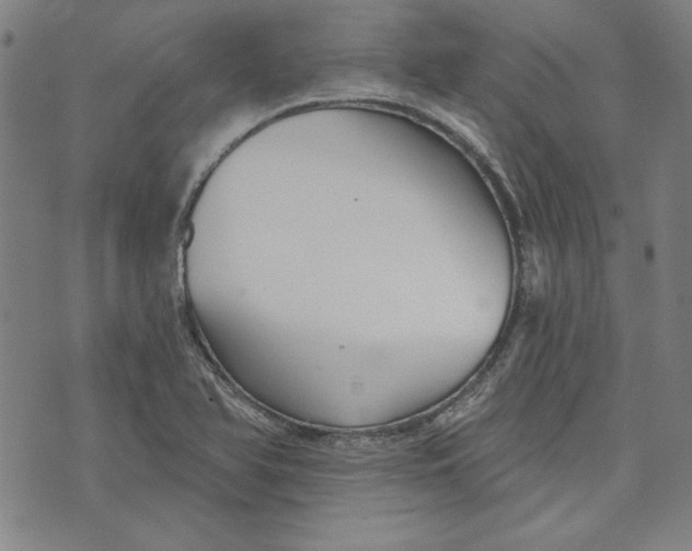 X0000076221366200610191522