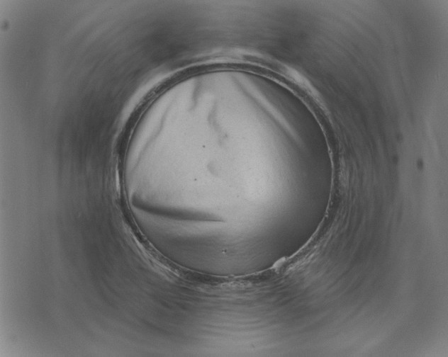 X0000076221368200610191522