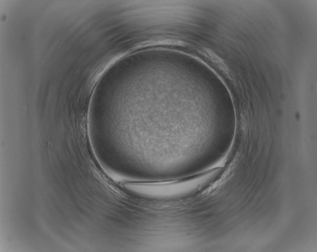 X0000076221369200610191522