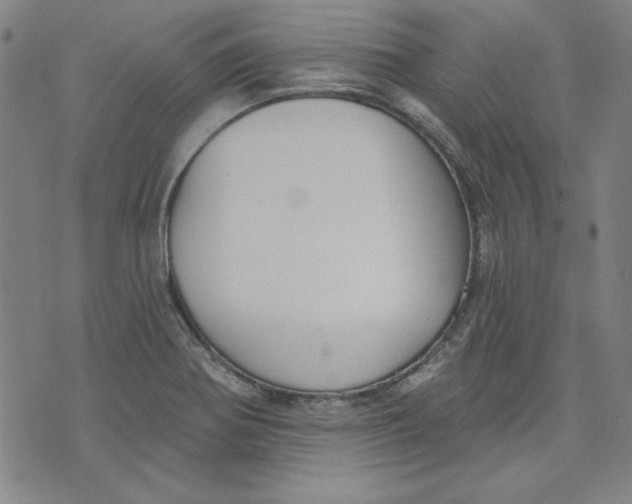 X0000076221370200610191522