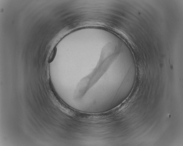 X0000076221371200610191522