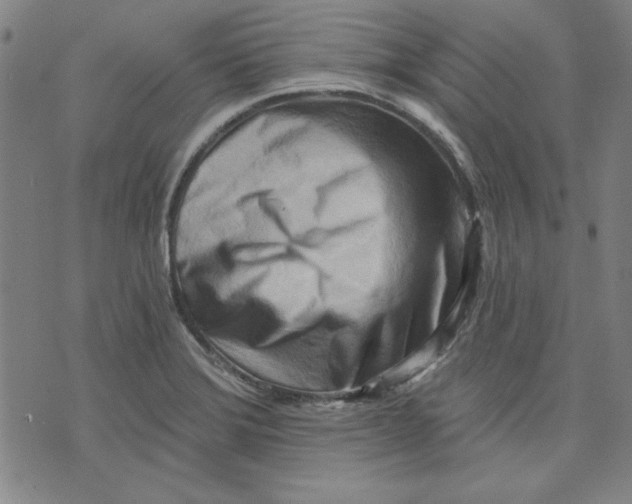 X0000076221372200610191522