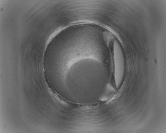 X0000076221373200610191522