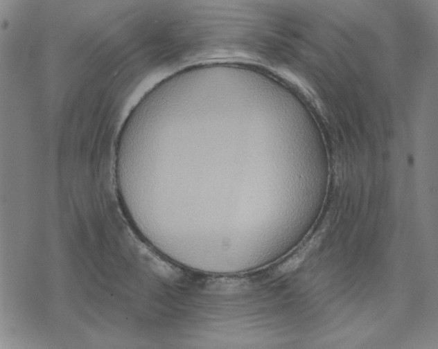 X0000076221374200610191522