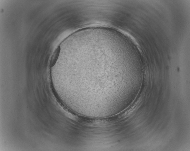 X0000076221375200610191522