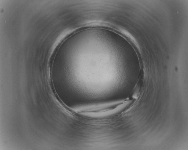 X0000076221376200610191522