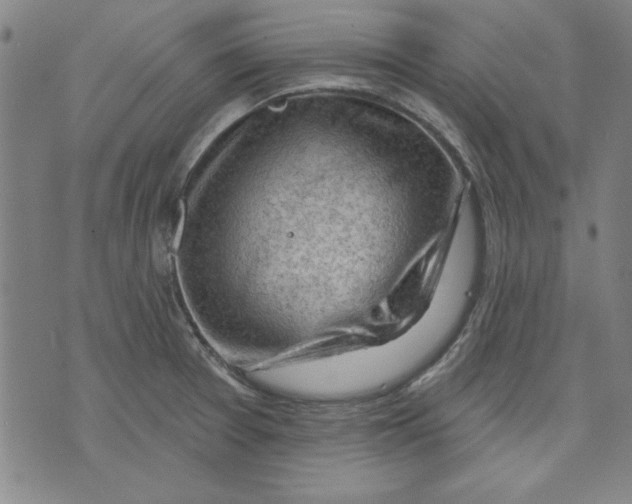 X0000076221377200610191522