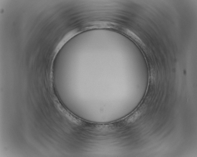 X0000076221378200610191522