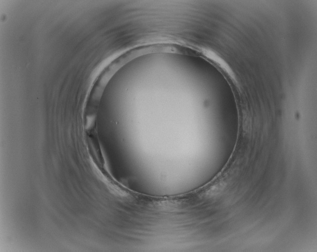 X0000076221380200610191522