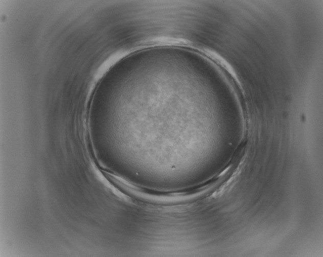 X0000076221381200610191522